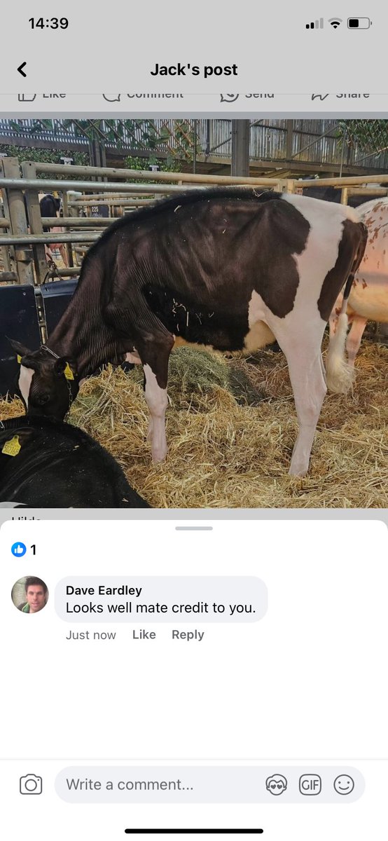 David Eardley tweet media