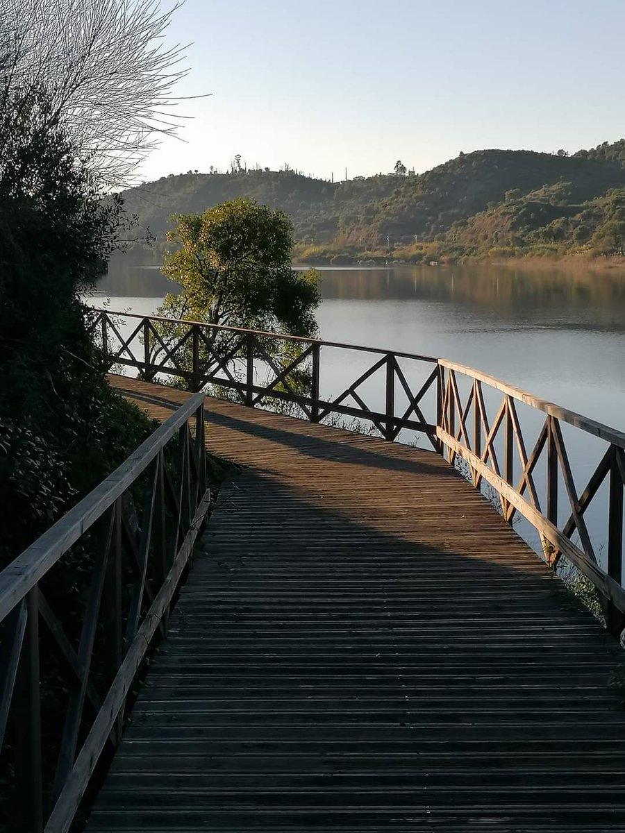 skymanuelima's tweet photo. O Passadiço do Alamal é uma atração imperdível no concelho do Gavião. Um passadiço criado e inserido num percurso pedestre à beira do rio Tejo, entre Belver e a praia do Alamal. #Passadiço #Alamal #Gavião #RioTejo #travelphotography #viagens #FotógrafoAmador #visitPortugal https://t.co/qpPamCgg9k