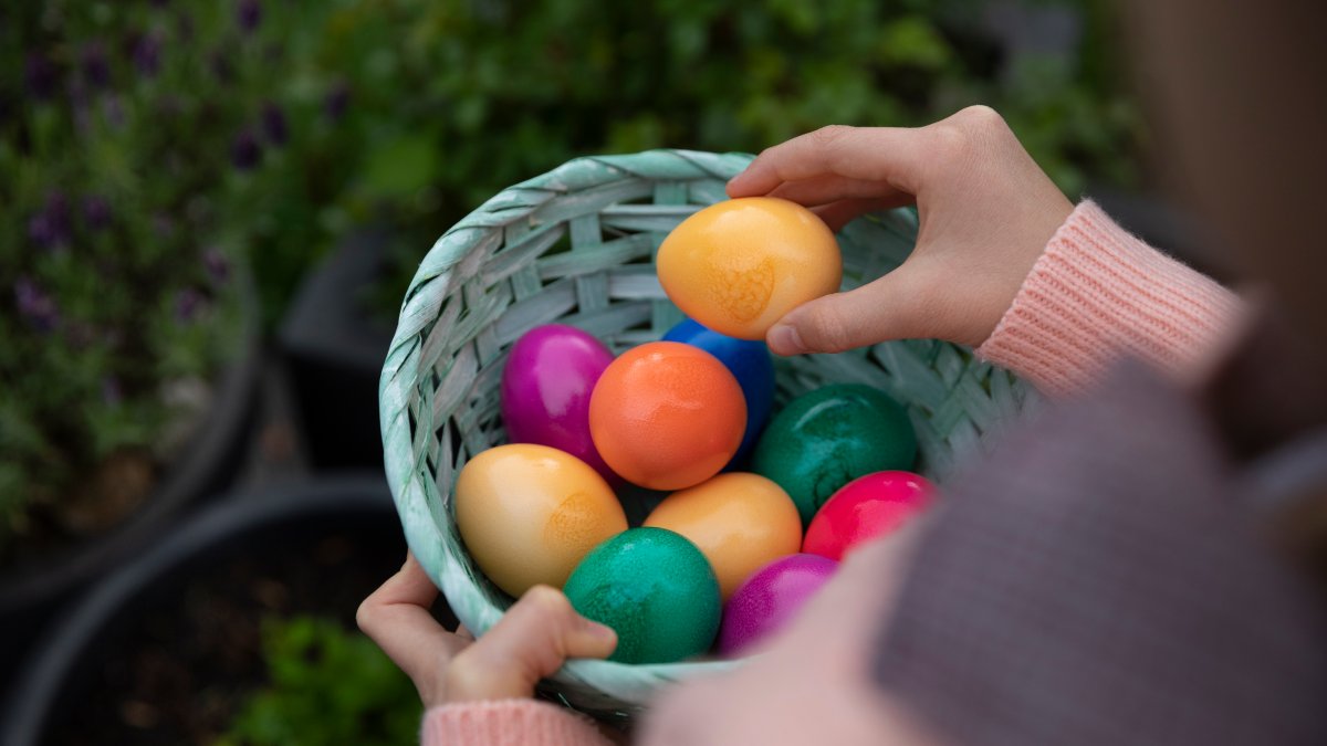 Where to find the Easter Bunny and Easter egg hunts in North Texas this weekend dlvr.it/T4qgYC