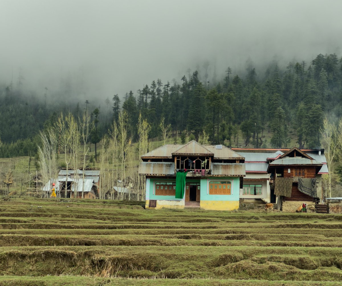 Village life blooms with the arrival of spring... insta / imrayeesdar