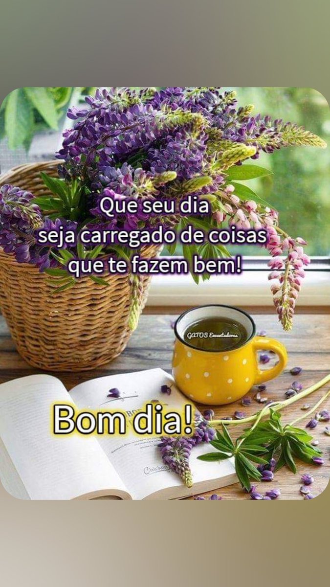 Bom dia 😃