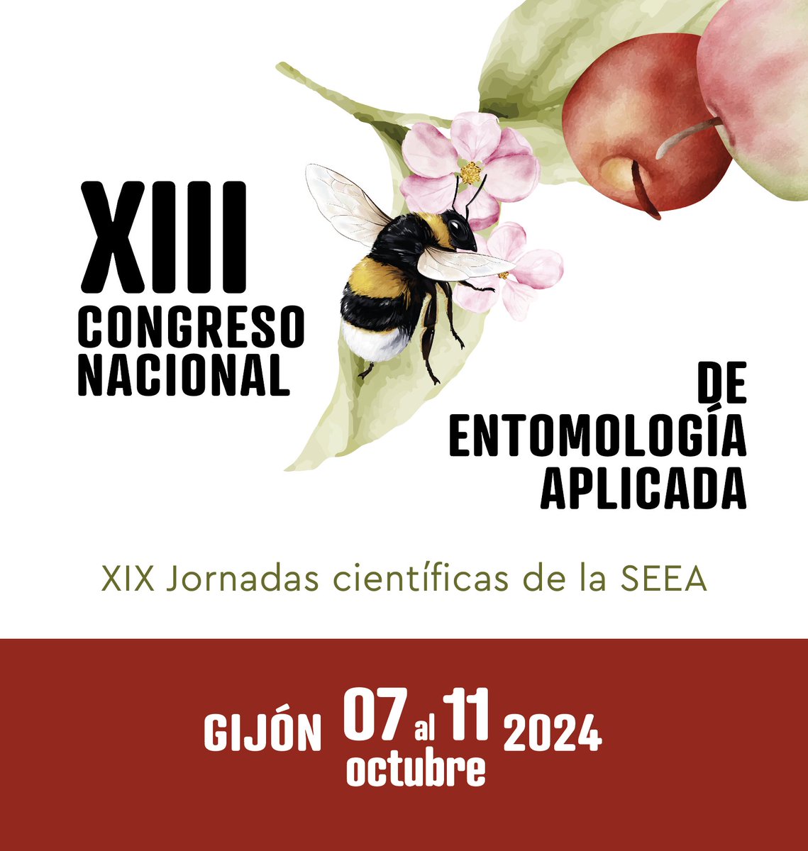 🐝🐞🦋🐜🪰🕷Investigas, trabajas, o estás Interesado en los insectos y en las aplicaciones prácticas que se les atribuyen❓ Te esperamos en Gijón ‼️ 🏃🏃‍♀️Plazo de comunicaciones hasta 9️⃣ de abril ⏩ bit.ly/3VX5D5V #SERIDA_CHF @SEEA_entomol @LabBiodiversity @uniovi_info