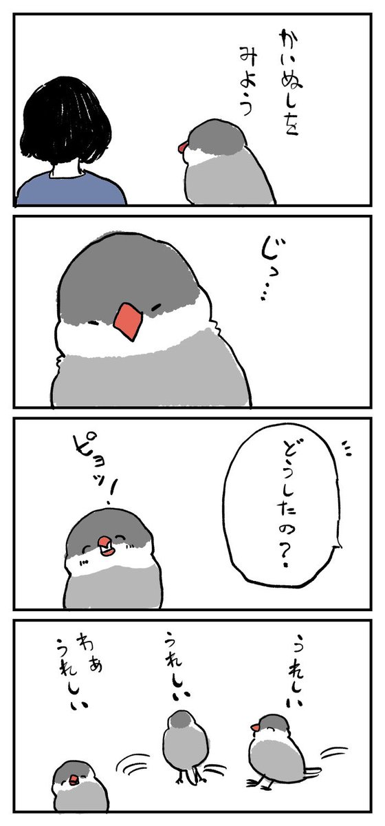 文鳥さんは目が合うと嬉しい 