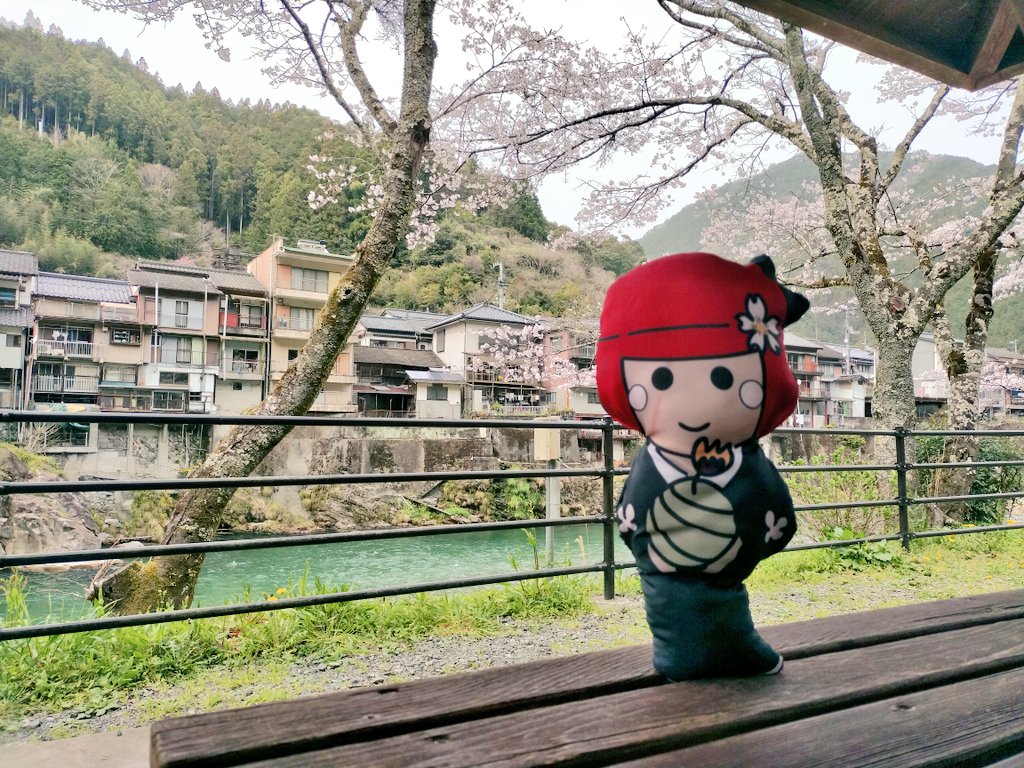 ほんチい 
仁淀川町に現れる

(◍•ᴗ•◍)なうチい