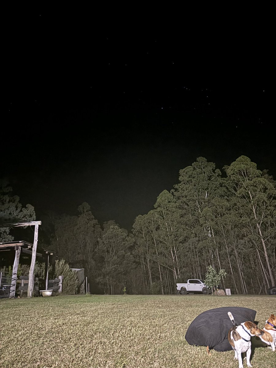 How good is 🇦🇺 starry night at our happy place, stars/ beanbags/ pups, doesn’t get much better. Happy Easter crew 👍🎉🐶🐣🇦🇺