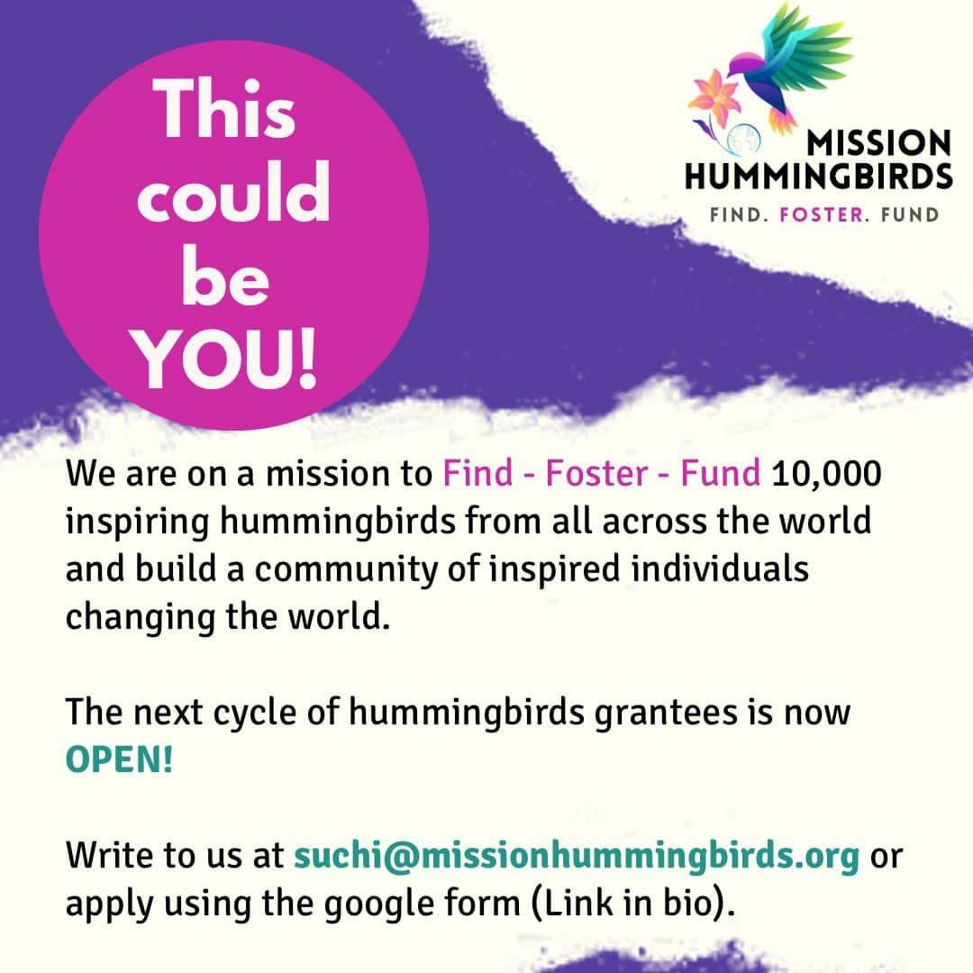 Mission Hummingbirds tweet media