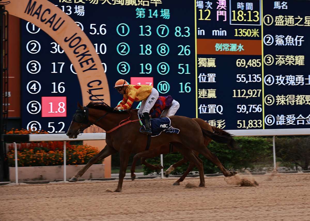 Macau Jockey Club tweet media