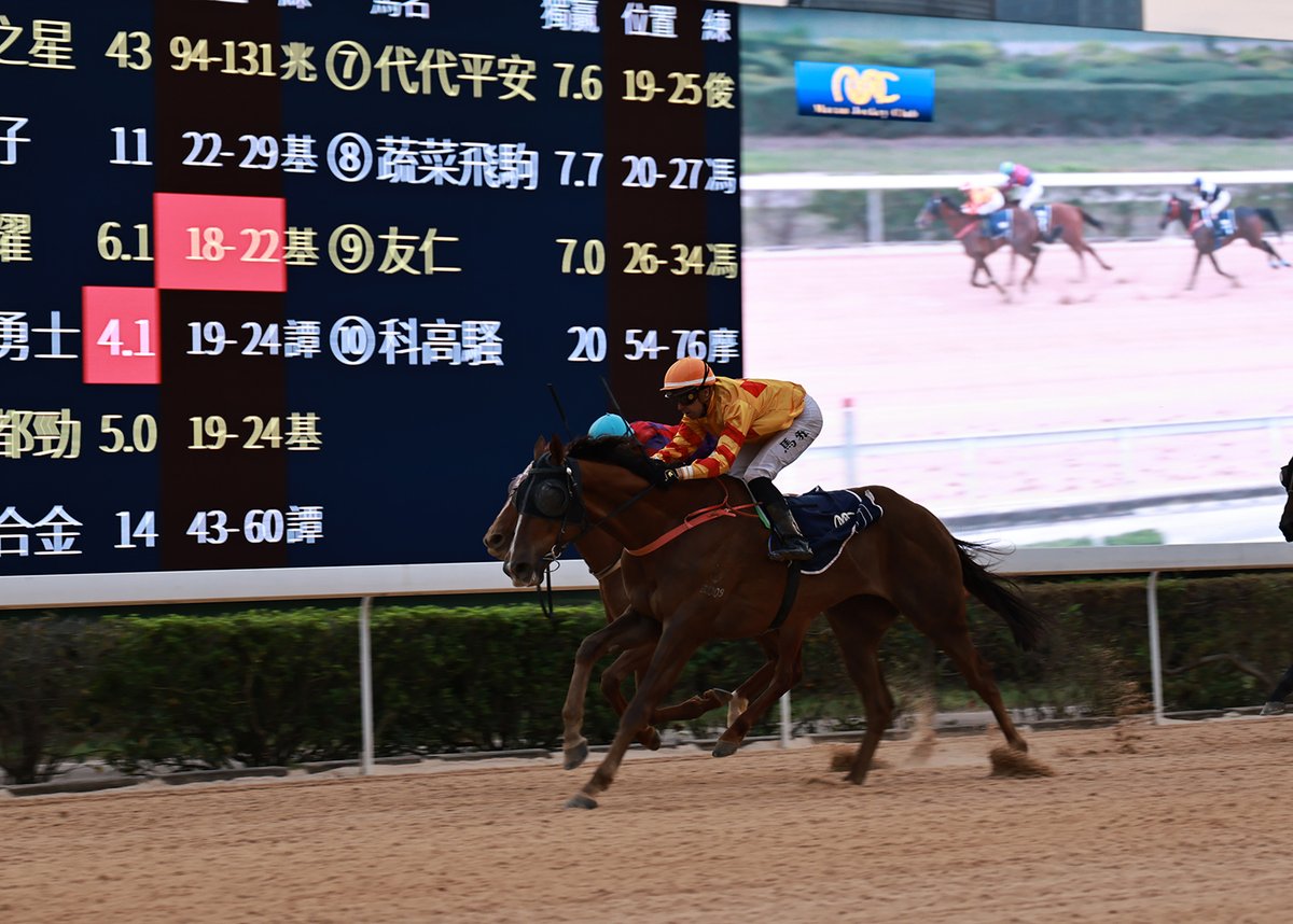 Macau Jockey Club tweet media