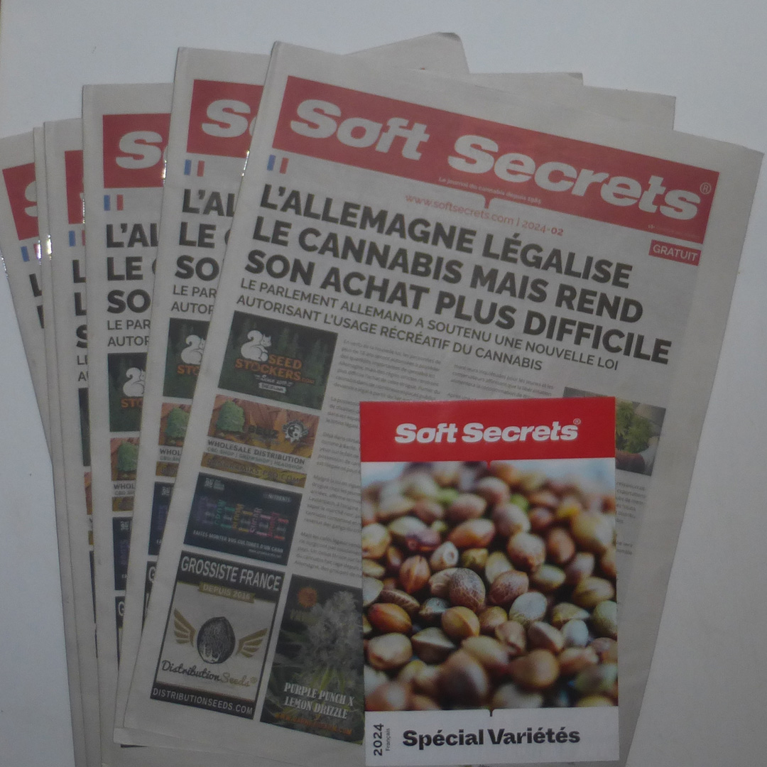 softsecrets_fr's tweet image. Notre deuxième numéro de l’année est disponible ! Uniquement des articles inédits ! Venez retirer votre exemplaire gratuit dans nos shops distributeurs ou téléchargez la version PDF

#SoftSecrets #CannabisCommunity
