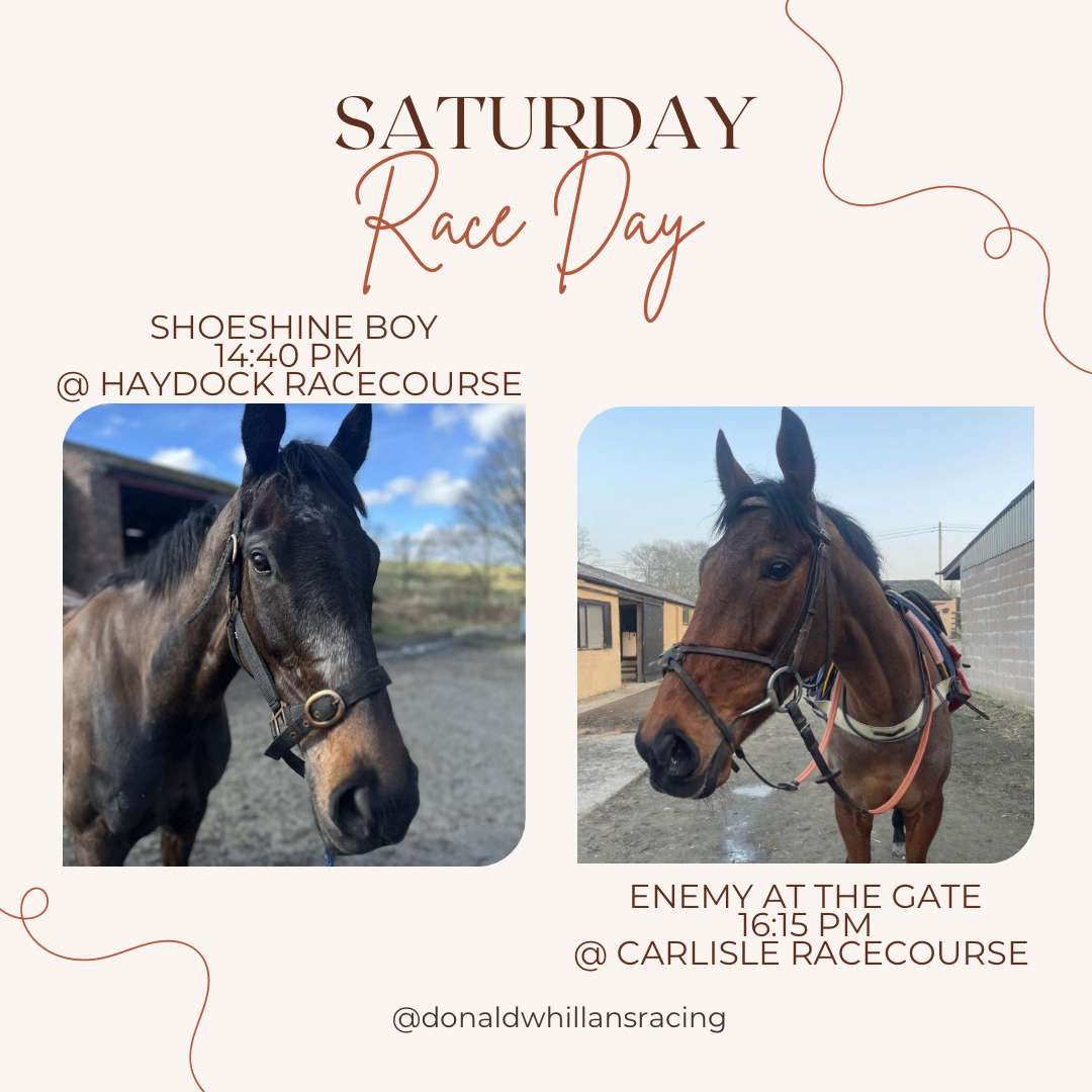🏁Race Day🏁 We have 2 runners today. @haydockraces ⏰ 14:40 🐎 SHOESHINE BOY 🐎 🔑 For Mousetrap Racing @CarlisleRaces ⏰ 16:15 🐎 ENEMY AT THE GATE 🐎 🔑 For the Adbrokes Partnership 👇🏼Race preview posted below👇🏼 donaldwhillansracing.com/News/Mar30thNe…