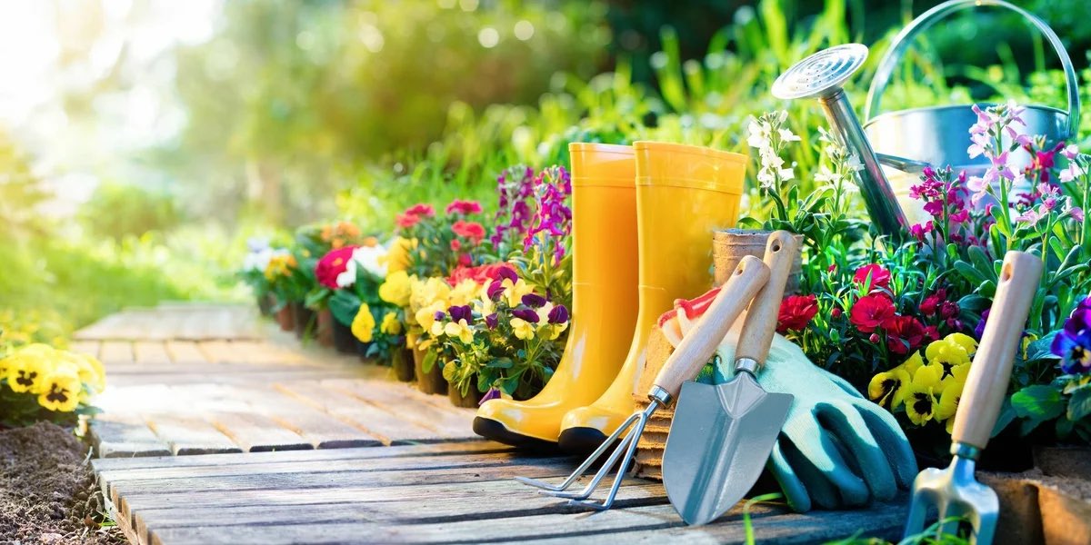 As the clocks go forward and the weather starts to pick up, a lot of us will be stocking up on flowers and plants. Our reporter @SiofraMulqueen has been finding out how the bad weather has impacted garden centre sales and has been getting some tips. 🌸🌷