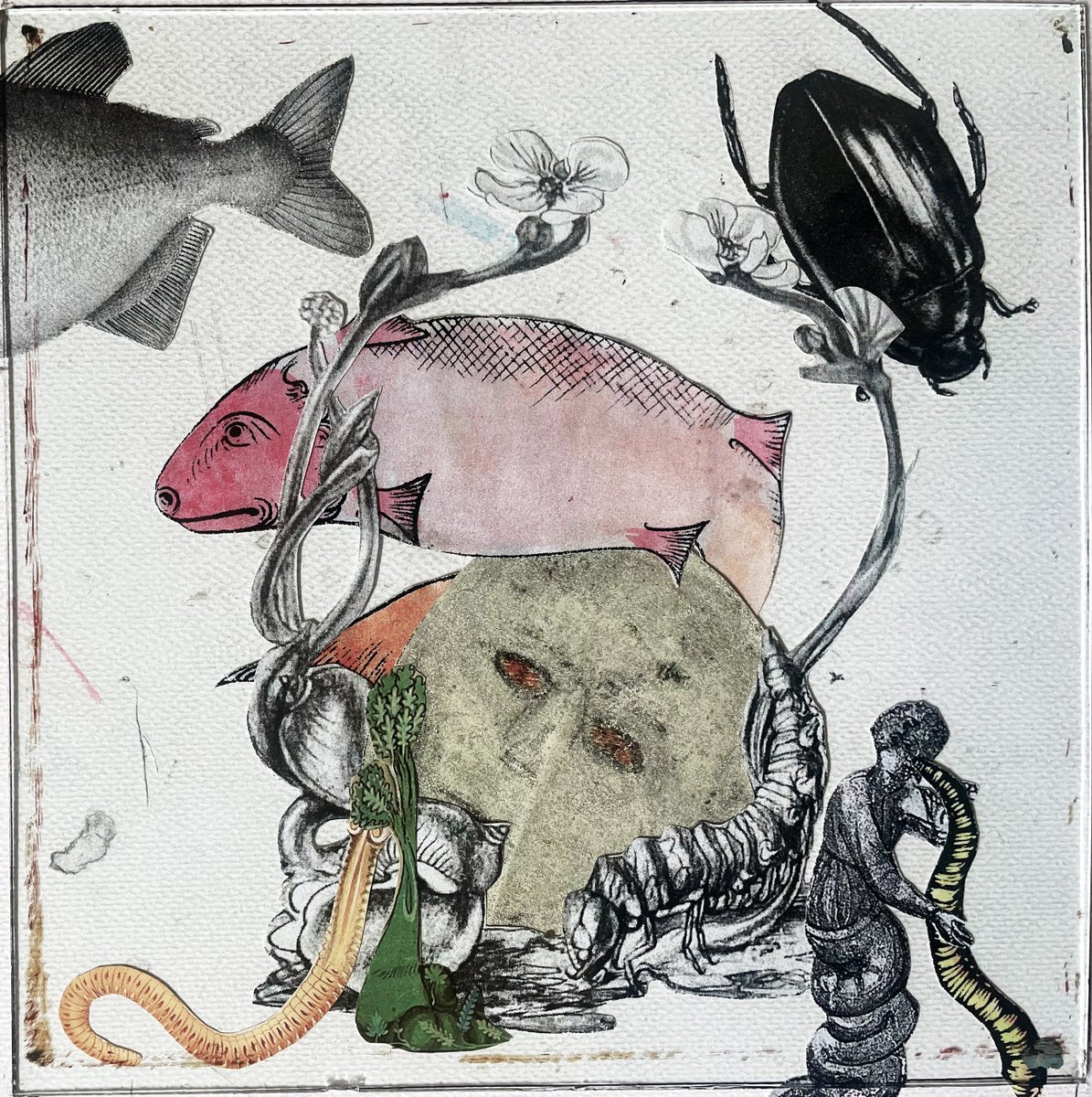 holiday at the bottom of a pond