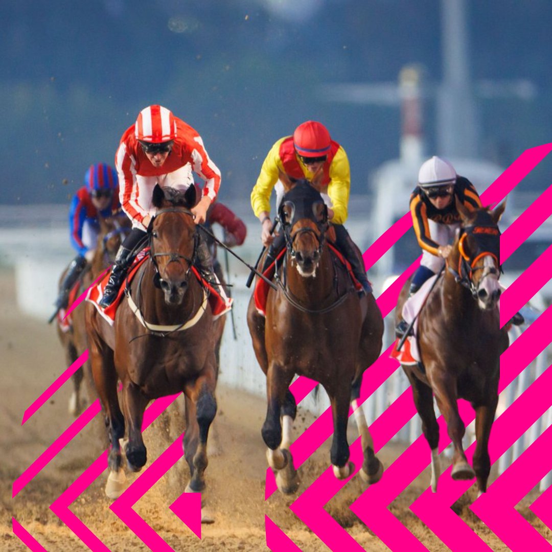 And we're off to the races 🏇 🏇 🏇 as the #DWC24 is underway on #EurovisionSport ! Where are you joining us from to watch all the #CrownJewelsRacing action ? 🌍 🎥 Tune into the #Livestream and enjoy the first ever premium #HorseRacing event on eurovisionsport.com 👍