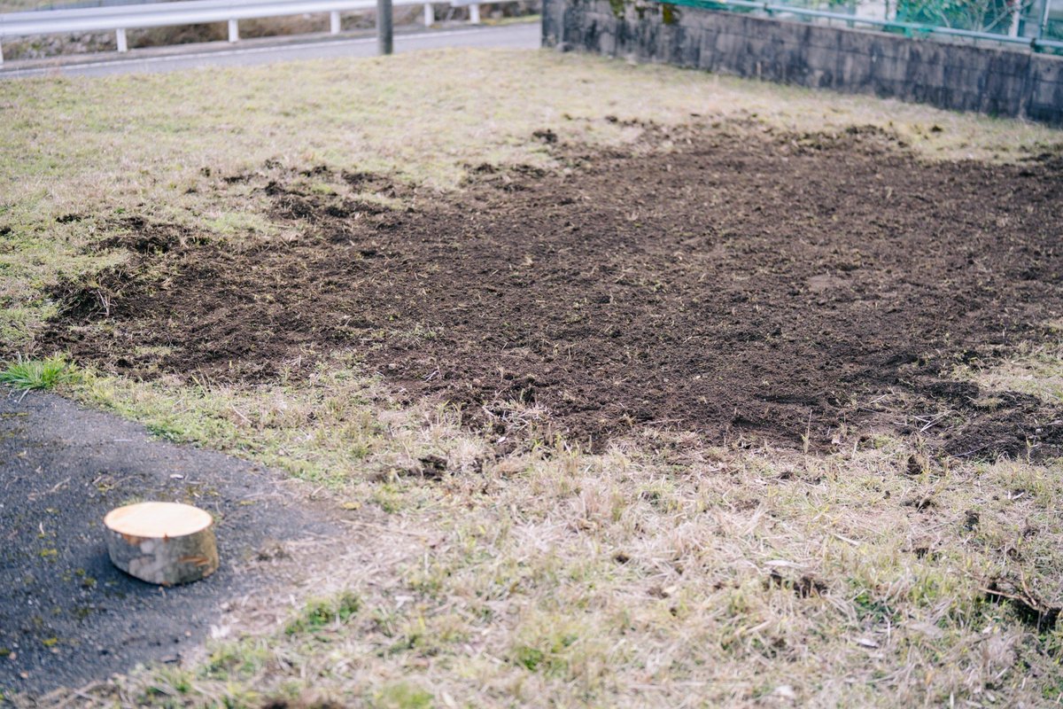 suga_arata's tweet photo. 畑始めました🌱
まずは土地を耕すところか���。
集落のおじおばも駆けつけてくれて、畑の作戦会議も実施！沈丁花が咲いたので、小松菜が植え時とのこと。 https://t.co/F6J34Qjjhr