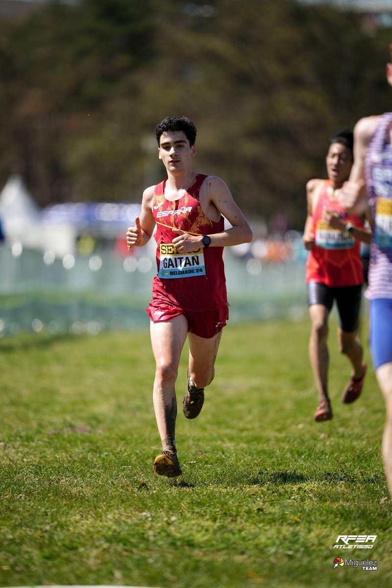 atletismoRFEA tweet media