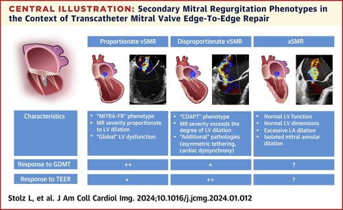 Secondary mitral regurgitation (SMR) is a heterogeneous disease entity presenting with different clinical phenotypes. Differentiation of SMR phenotypes (aSMR vs vSMR) and their subentities might facilitate our understanding of treatment response to medial and interventional SMR…