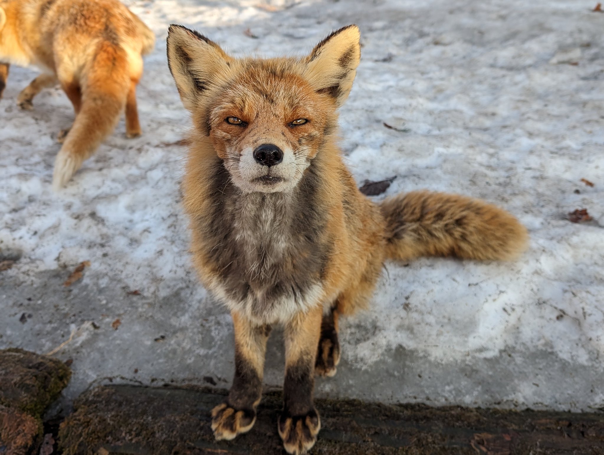 GJ6f9wVbAAAGIY_.jpg:large