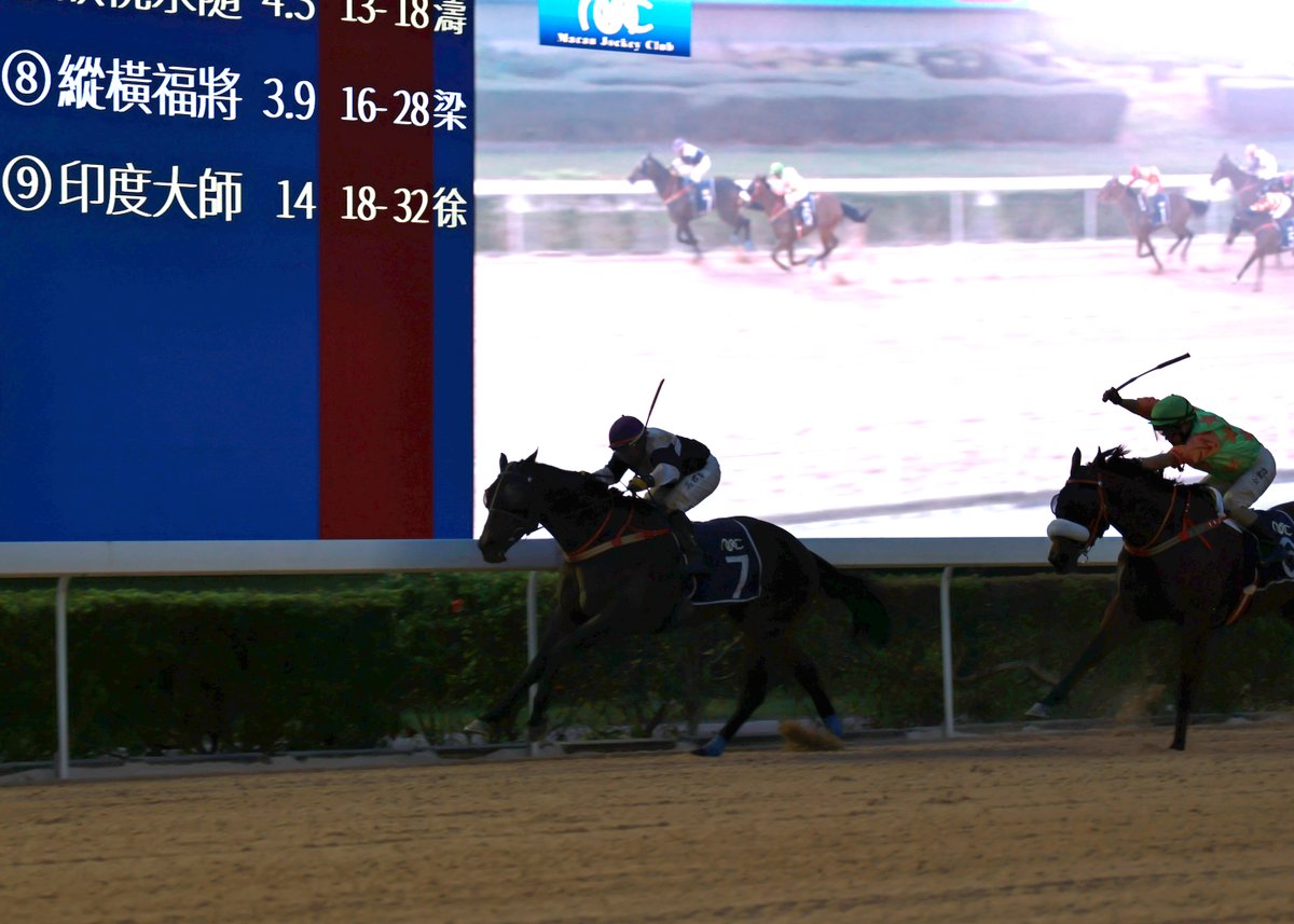 Macau Jockey Club tweet media