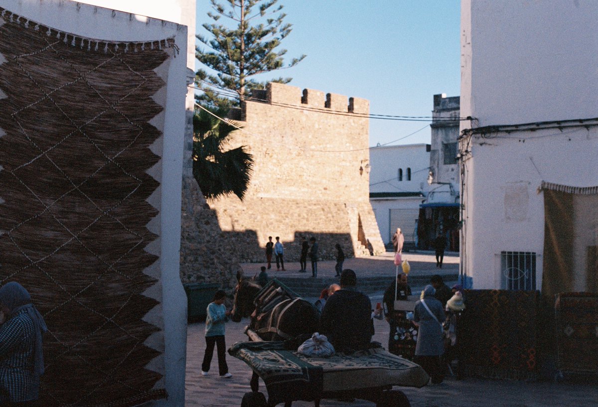 Zakariya El-Machachi tweet media