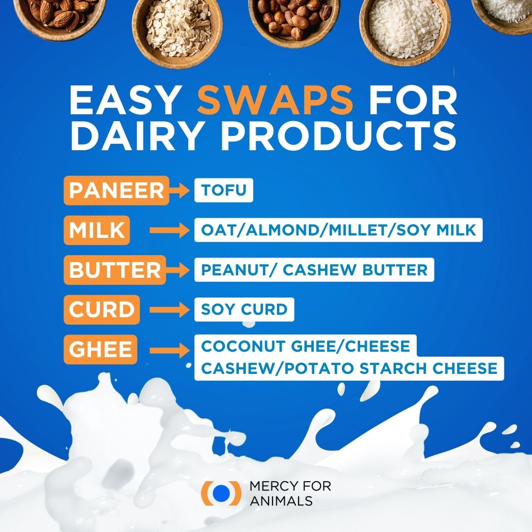 Thinking of ditching dairy products? These replacements should come in handy. #DairyFree #DairyIndustry #AnimalAgriculture #AnimalLovers #MercyForAnimalsIndia