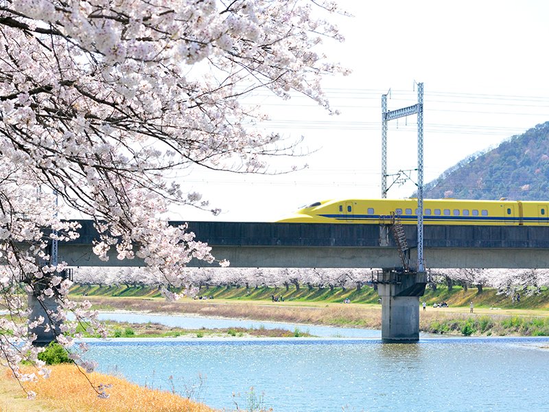 #皆さんの鉄道と桜の写真見せて下さい これまで1度だけ見ることができた、桜とドクターイエローです。またいつか会えるかな。