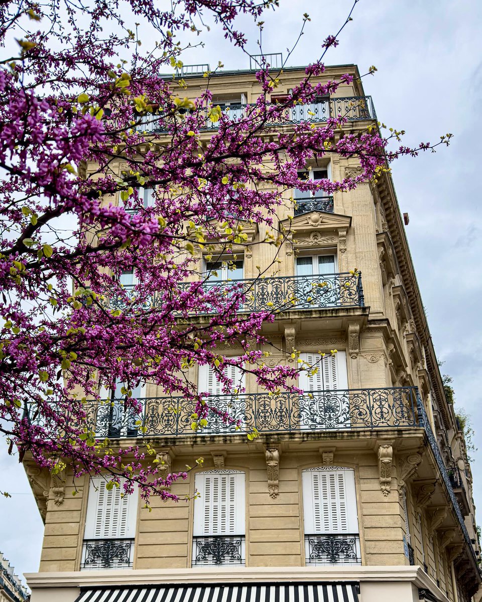 Rainy spring! 🌸☔️💕 🐣🔔🪺

<<>><<>><<>><<>><<>><<>><<>><<>><<>>

#springinparis #springtime #parisianstyle #rainyspring #blossom #flowerpower #paris10 #agnesb #parisstreetstyle #parisjetaime #parisvibes #parisianlifestyle