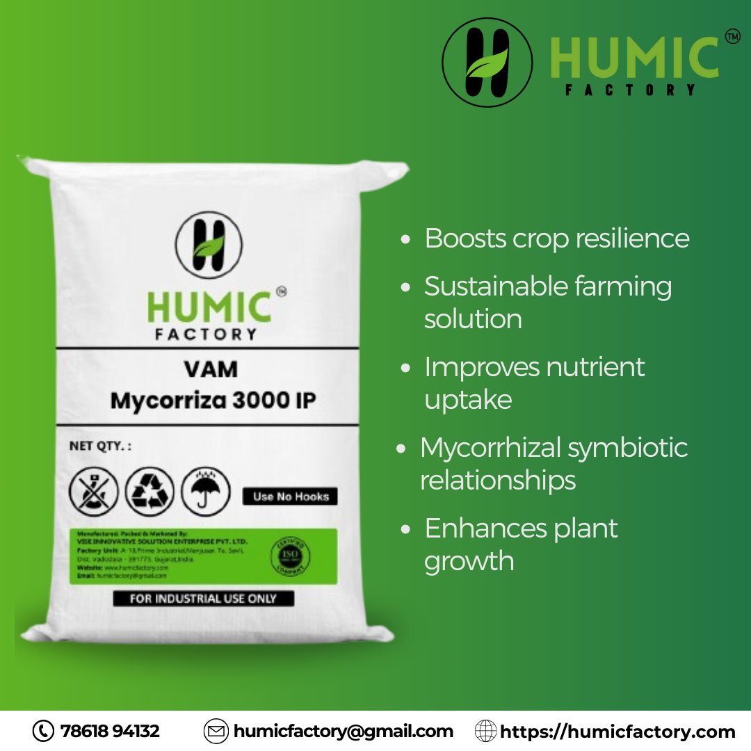 Vesicular Arbuscular Mycorrhiza 3000 IP- VAM – Agriculture Grade – 250 gm/acre Dose – Best for Plant Roots – 25 kg Loose Bag Packing
.
To place the order online, please visit us at:
humicfactory.com/product/vesicu…
Mobile Number: +91 7861894132
.
#agriculture #farming #agribusiness