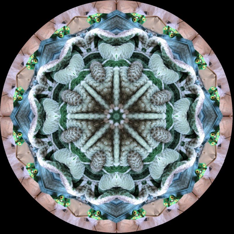 gennepher's tweet photo. #kaleidosaturday
#laboscope https://t.co/GAWArxMw8z