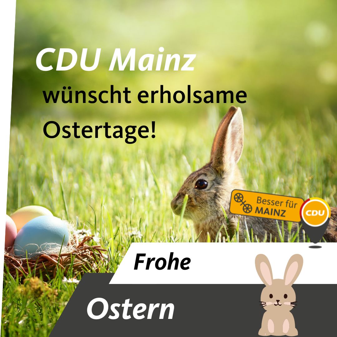 CDU Mainz (@cdumainz) on Twitter photo 