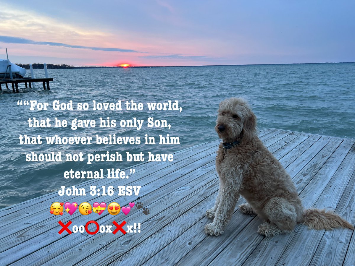 ““For God so loved the world, that he gave his only Son, that whoever believes in him should not perish but have eternal life.” John 3:16 ESV 🥰💖😘💝😍💕🐾 ❌oo⭕️ox❌x!!