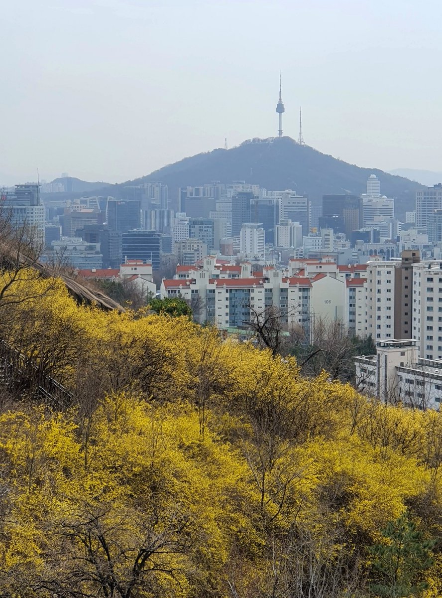 Lace up your boots and hit the trails in Beautiful Weather! #inwangsan #인왕산 in #seoul #서울
#spring sun-kissed Peaks
Crisp #Mountains Air
Panoramic Vistas
Whispering Breezes
Sense of Freedom
#mountainlovers
#wanderlust
#find_your_way_out_by_yourself
