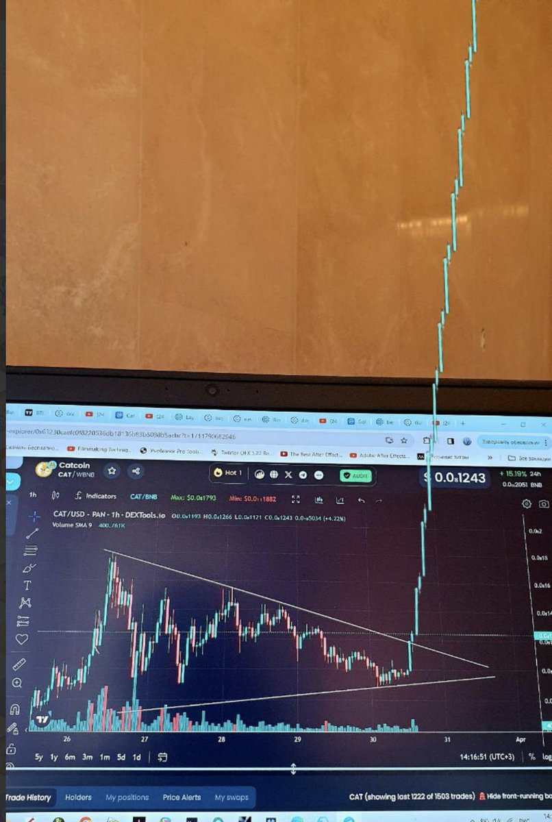 yourgemhunter's tweet image. #catcoin in a mood to break investor pc with green candle🚀🐱