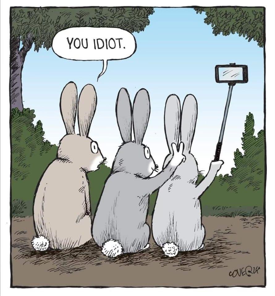 #EasterBunnies...