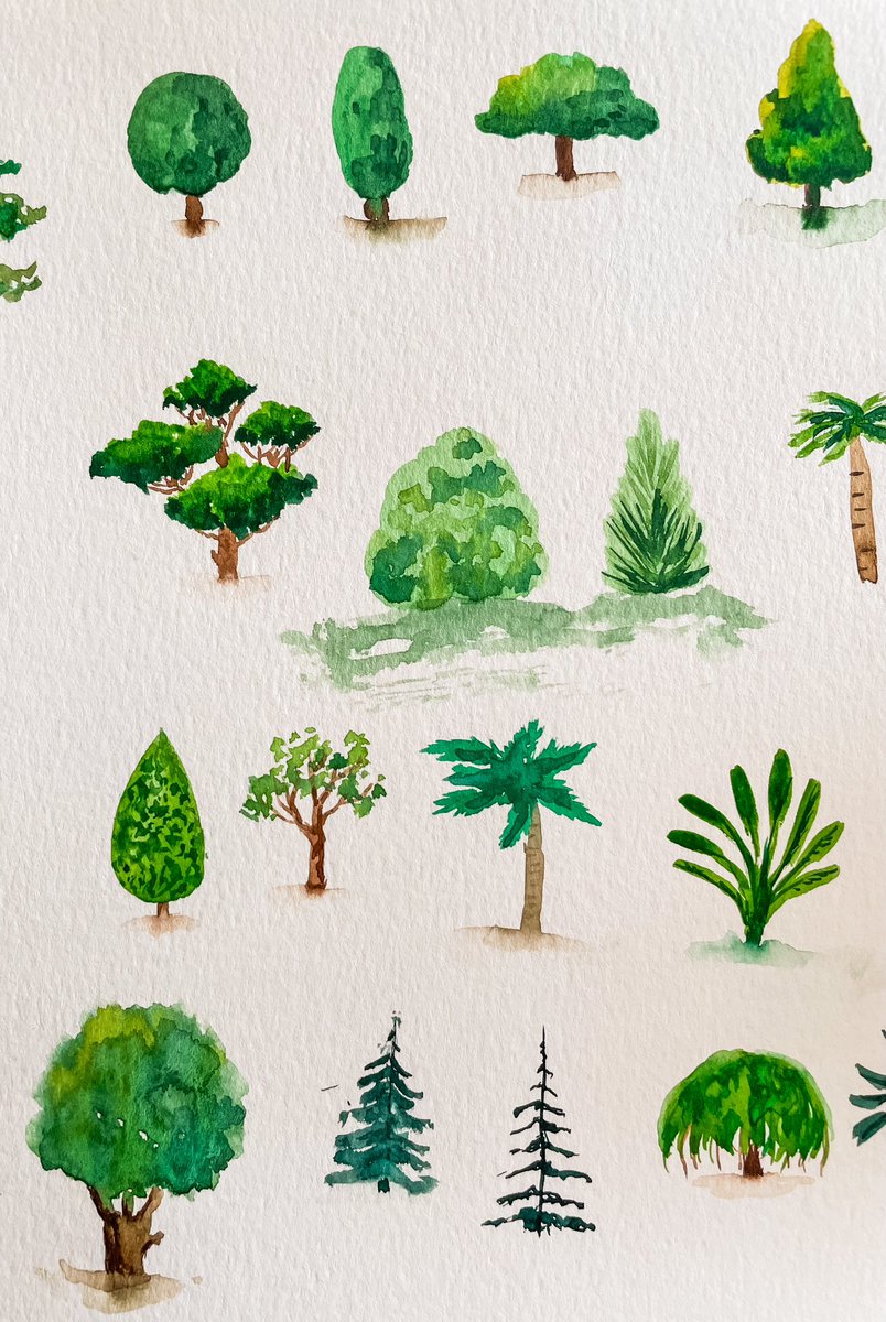 More trees 🌳 🌴🌲🌿🌳 because spring is here 😎

#hellospring #watercolortrees #watercolor #watercolordaily #watercolorsketchbook #dailydrawinghabit
