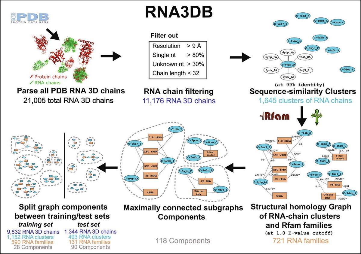Anton Petrov (@antonipetrov) on Twitter photo Finally a proper test/training dataset for RNA 3D structures! This paper by <a href="/RivasElenaRivas/">Dr Elena Rivas @elenarivas@qoto.org</a> will be key for the field.
RNA3DB: A structurally-dissimilar dataset split for training and benchmarking deep learning models for RNA structure prediction
sciencedirect.com/science/articl… Finally a proper test/training dataset for RNA 3D structures! This paper by <a href="/RivasElenaRivas/">Dr Elena Rivas @elenarivas@qoto.org</a> will be key for the field.
RNA3DB: A structurally-dissimilar dataset split for training and benchmarking deep learning models for RNA structure prediction
sciencedirect.com/science/articl…