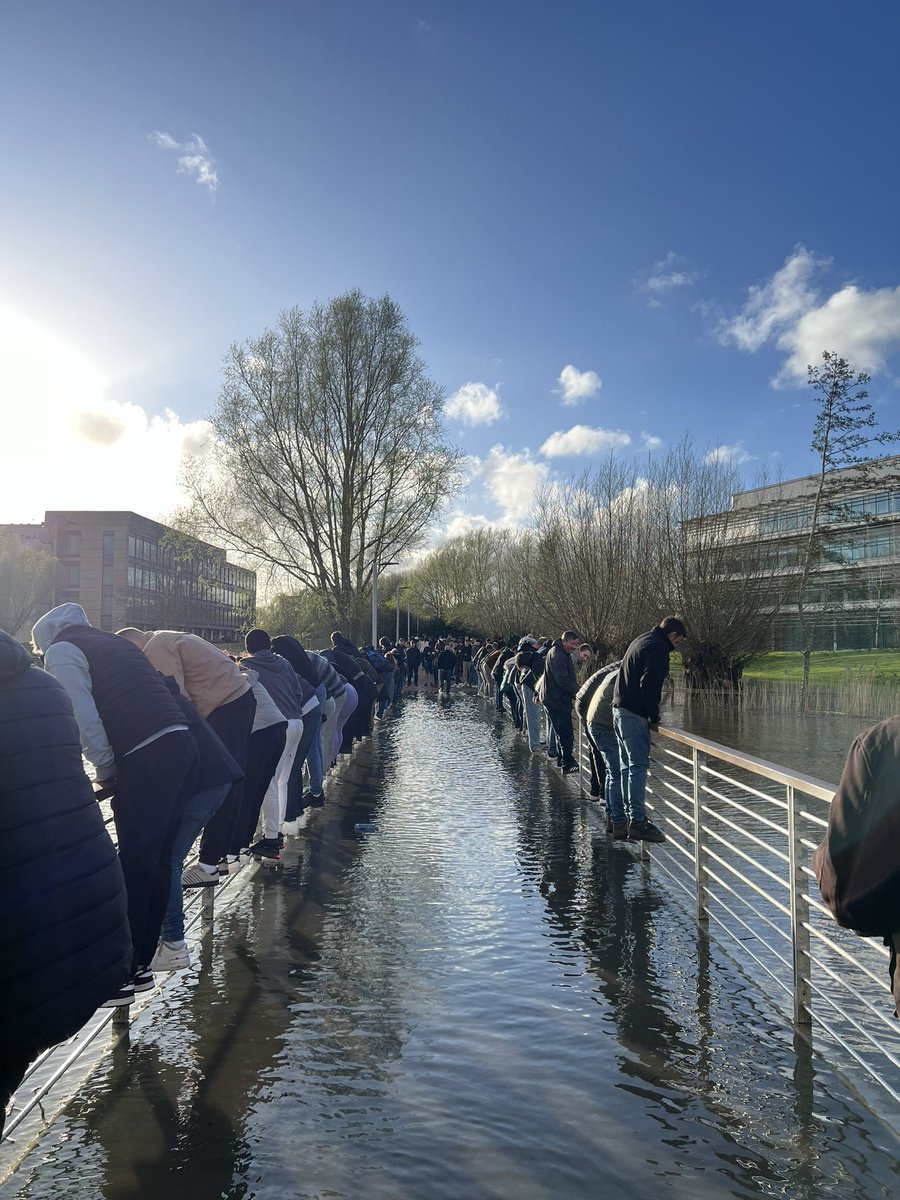 Hang it in the louvre! This picture of people crossing this bridge in Green Park. 😂 📸 @1871afl 👏 #ReadingFC