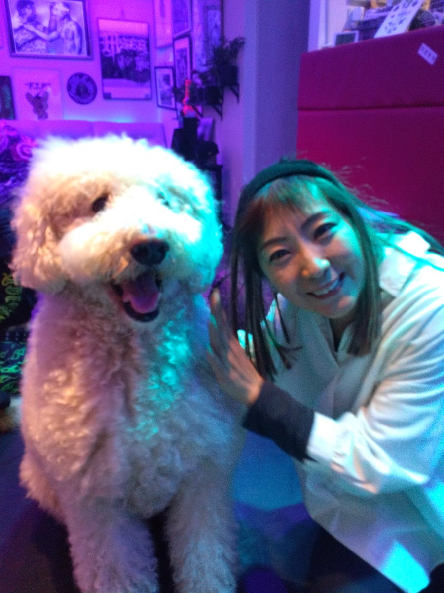Michicandy0313's tweet photo. 六本木の格闘技の元チャンピオンが経営しているパーソナルジムのポップアップ会にお邪魔したら、こんなに大きくておチャメなワンコに遭遇したので寄っては交わされたのちにようやく触れ合ってからの〜パチリ✨📷✨

#六本木　#CandyGym #POPUPSTORE  #treaning
 #personalprogram https://t.co/x3shuOKL4y