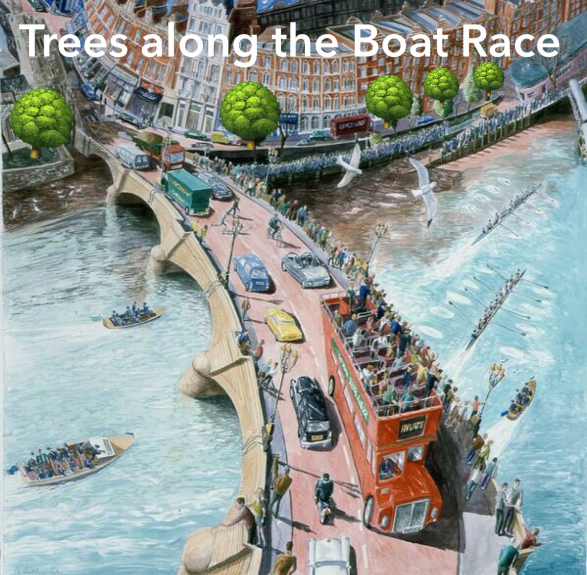 Here’s a thread about the #trees along The Boat Race Course @theboatrace ⬇️