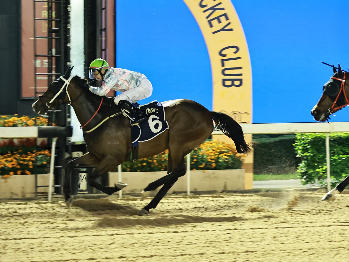 Macau Jockey Club tweet media