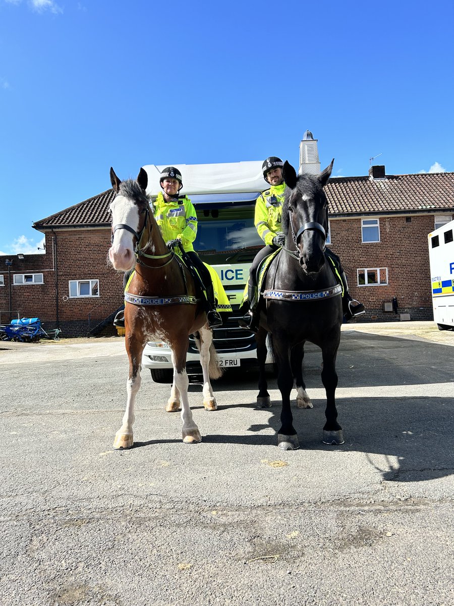 We have Beau, Owen and 2 of our officers patrolling Otterspool Prom this afternoon!
If you see them please stop and say hello.
#StandTall #PHBeau #PHOwen #MountedPatrols