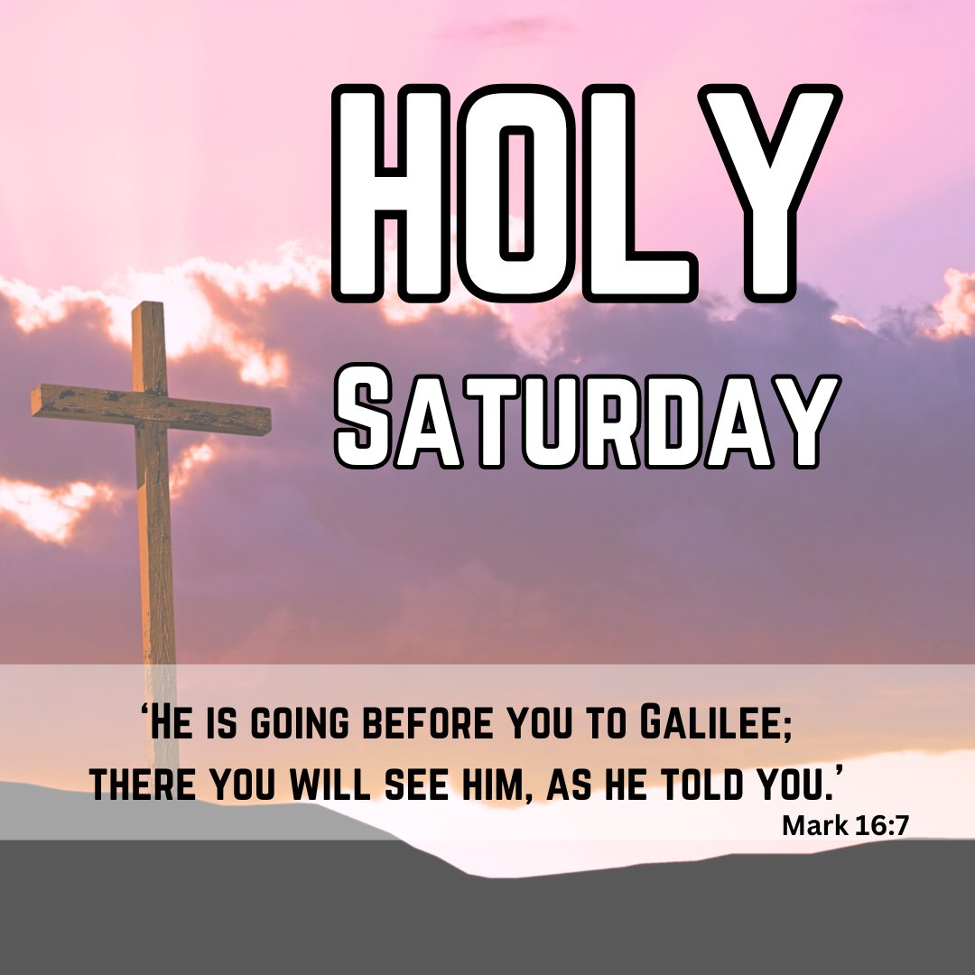 Foundation of the Roman Catholic Diocese - Raleigh tweet media