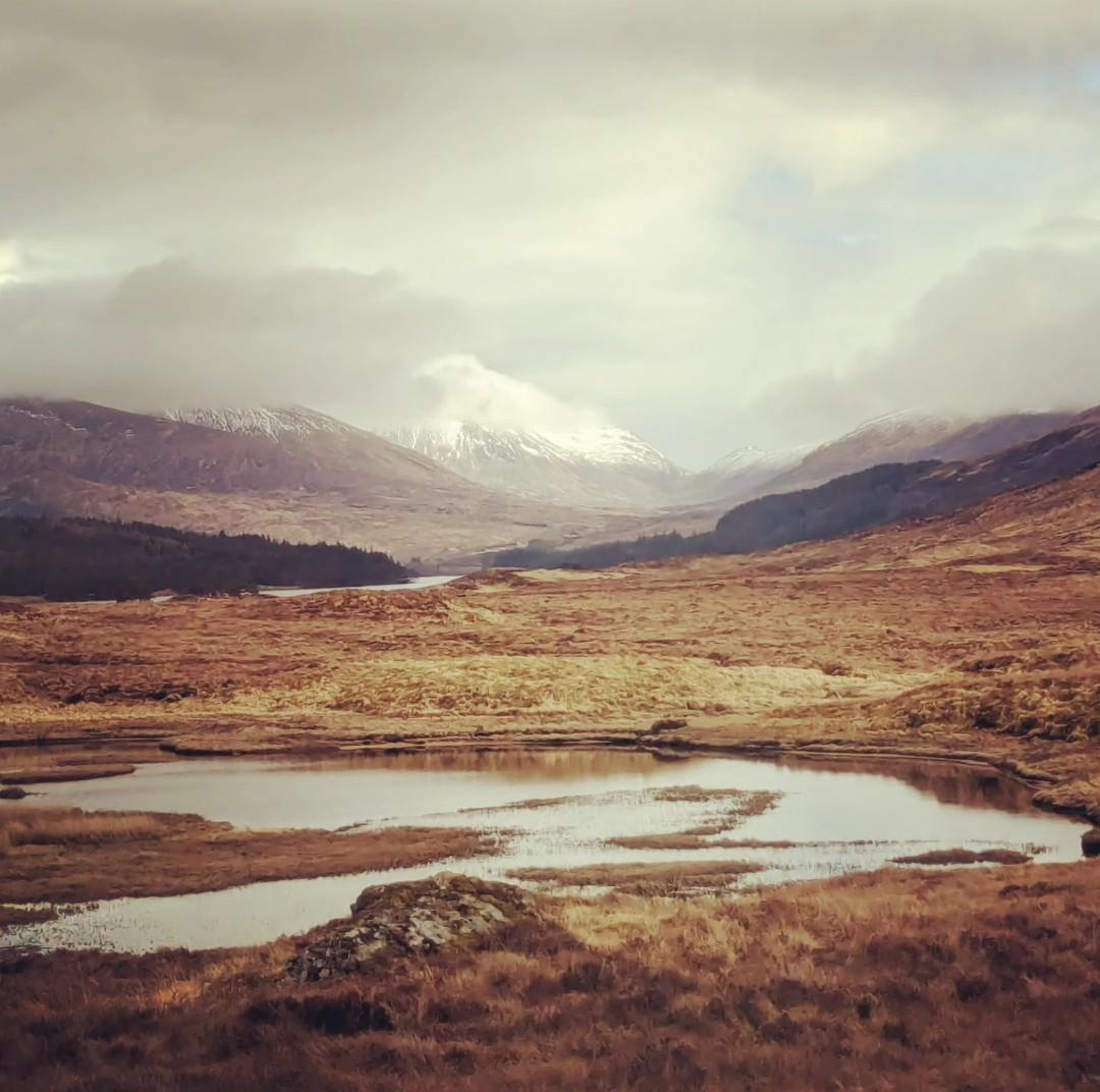 The view from the highest station in the UK😍
🗺📍
#corrour #scotland
📸
#corrourstation
♯
#travel #adventure #99countries #train #railway #station #highlands #visitscotland #westhighlandline #trainspotting #filmlocation #mountain
👀
@ScotRail 🚃
@VisitScotland 🇬🇧
@MrTimDunn 🛤️