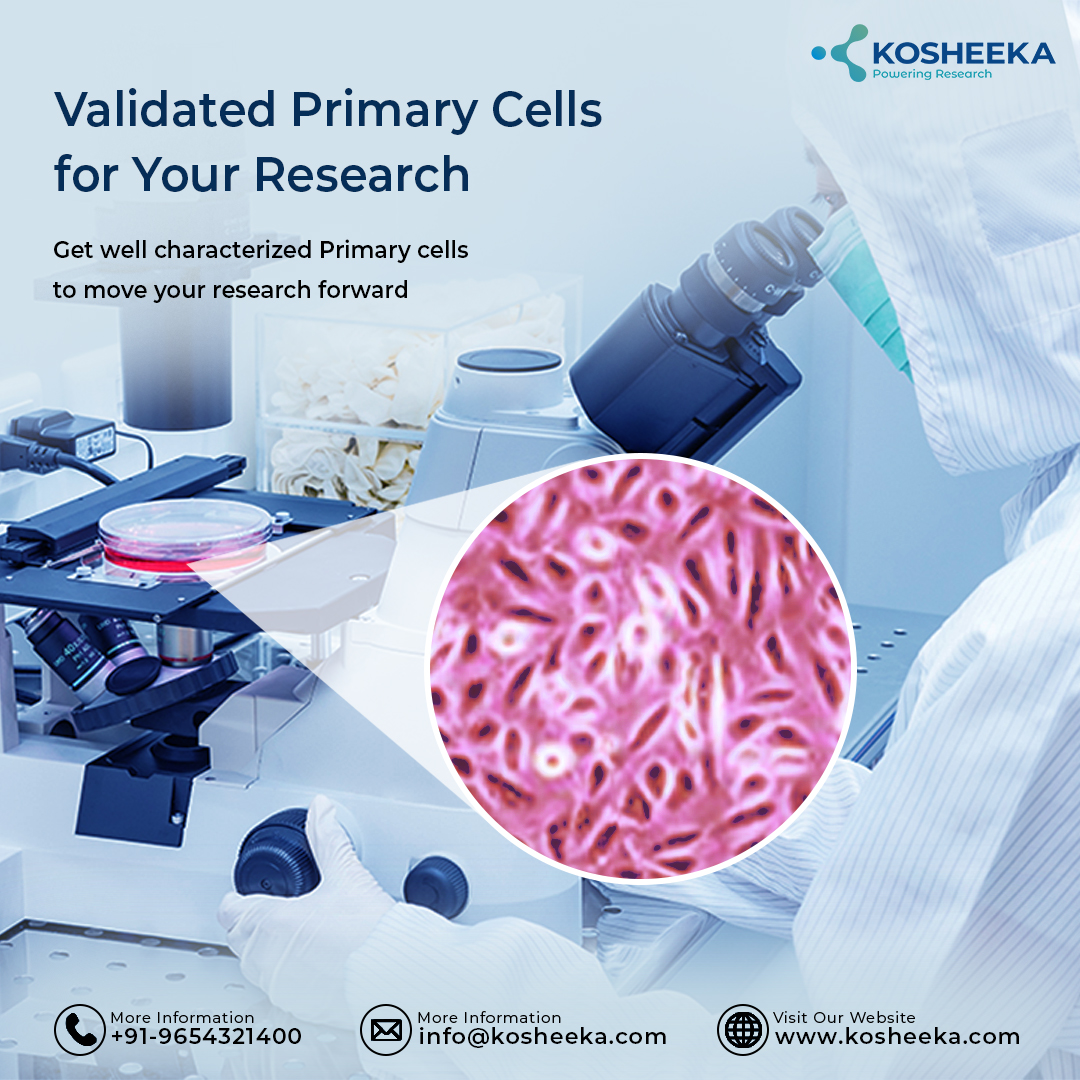 Tired of unreliable cells and cross-contamination in your lab? Get validated and well characterized primary cells from #Kosheeka & move your research forward!

Call +91-965-4321-400 to request a quote or receive expert guidance.

#primarycells #biomaterials #cellculture #research