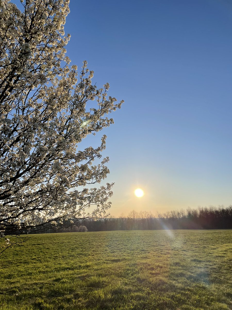 Good morning &amp; happy Easter weekend! After several difficult weeks, I was grateful to get out this morning for a soul-refreshing 10-mile run. #runningtherapy