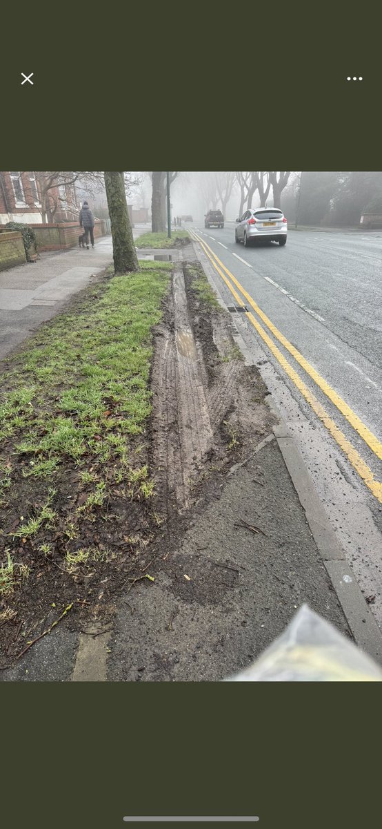 A typical u turn from <a href="/LibDems/">Liberal Democrats</a> <a href="/cllrmikeross/">Mike Ross</a> - first he says the verge will be done.. the on Good Friday says it won’t be.  Cott Road is a major road into Hull. The grass verges are churned up and very noticeably looking scruffy and uncared for  (see following comments)
