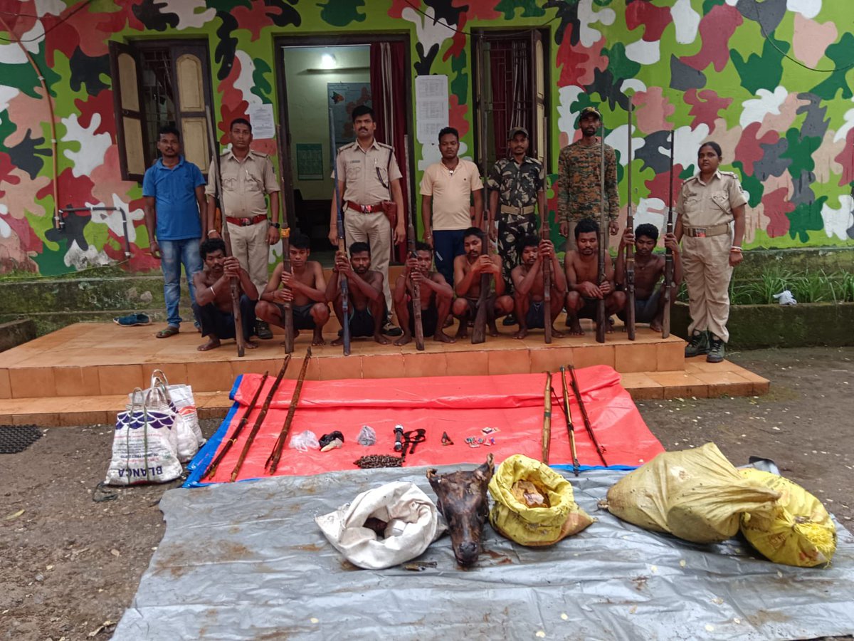Poachers belonging to Patsanipur GP of Udala PS entered Similipal Tiger Reserve with guns.They were intercepted by Similipal STPF ( Special Tiger Protection Force) and staff of Podadiha and Dukura ranges. Nine persons were arrested with 9 country made guns.