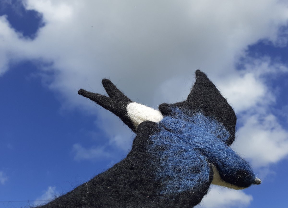 I finished this needle felted House Martin last night. It will be flying off to a new home on Monday, and used to teach people about House Martins. #housemartin @Natures_Voice @ukhousemartins