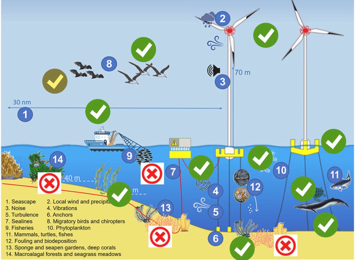 Floating offshore wind farms can be fully eco-compatible if adequately planned. And can contribute to deep-sea habitat protection. Happy to share our last article on this topic sciencedirect.com/science/articl…