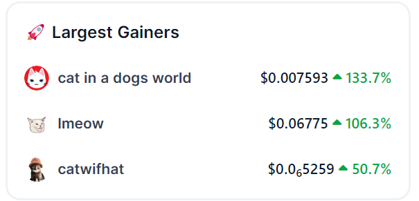 FOMO Magazine tweet media