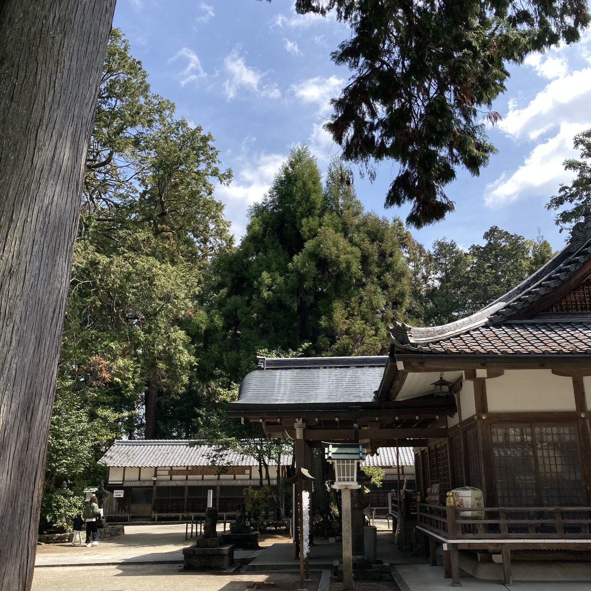 「三重県伊賀の大村神社さんにお参りしてきました。大きなナマズの張り子さんを奉納かわ」|ひよぷこのイラスト